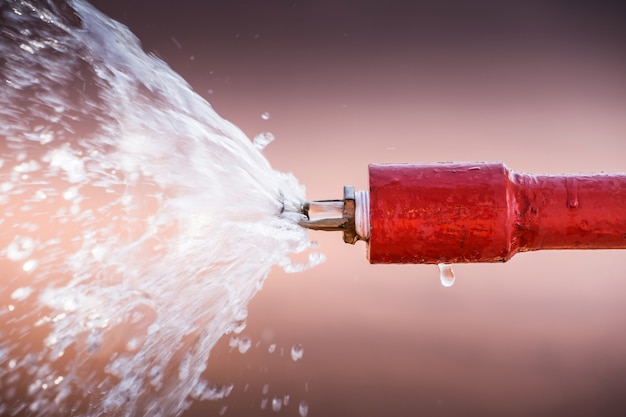 Fire sprinkler and red pipe.