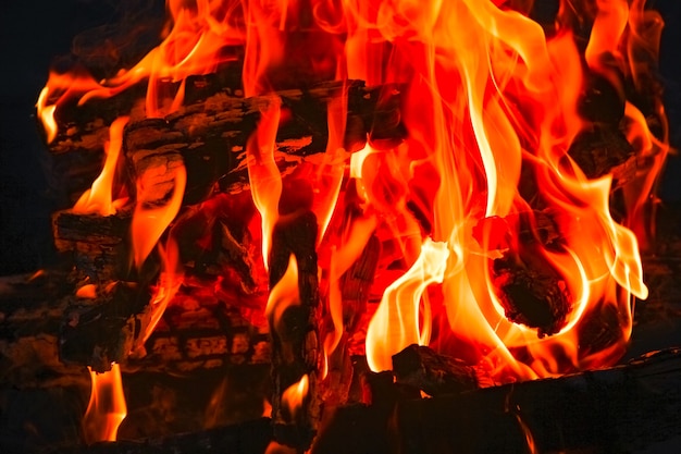 Un fuoco con carboni e fuoco su sfondo natura picnic. brucia un falò per il cibo per strada