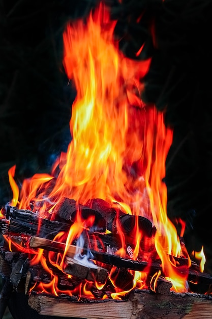 A Fire with coals and fire on nature picnic background. Burns out a bonfire for food on the street