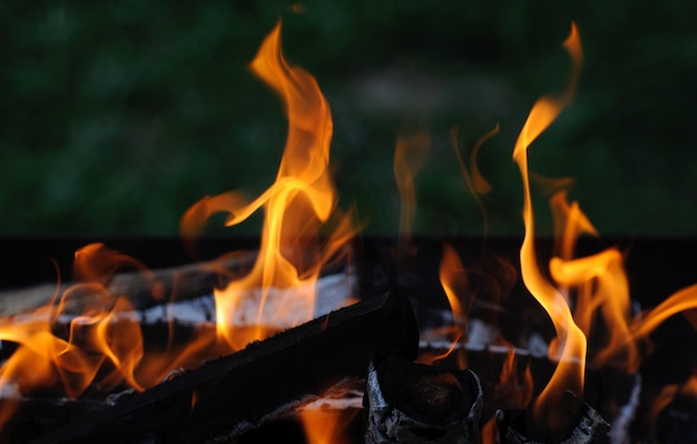 Fire wood brightly burning in the furnace.