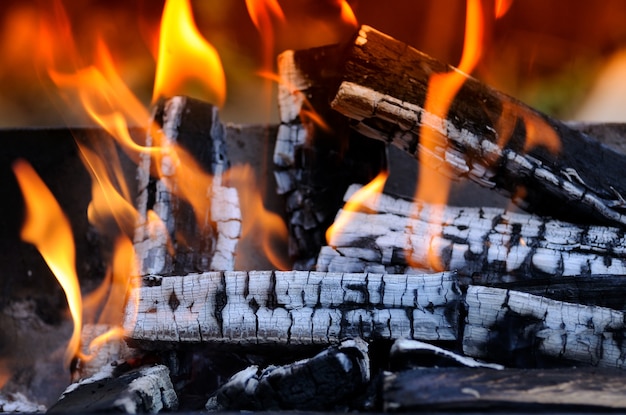 Fire wood brightly burning in the furnace.