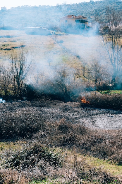 Incendio nel bosco nel pomeriggio foresta albanese