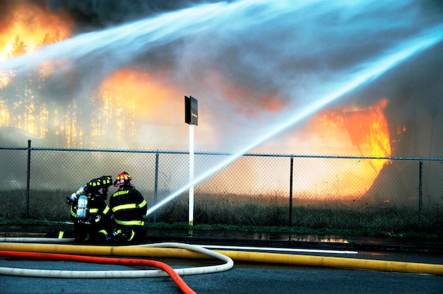 Фото Пожарный тушит горящие деревья.