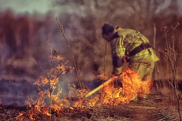 Photo firefighter puts out grass / forest fire, dry grass burns, wind blows