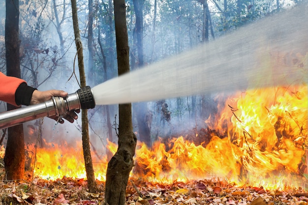 消防士は山火事に水を噴霧します