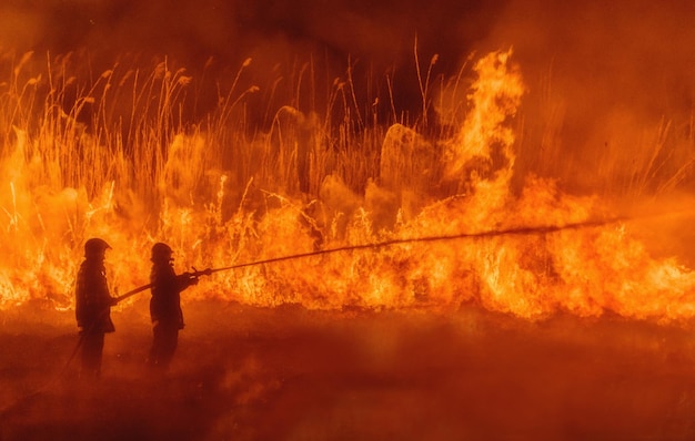 Foto i vigili del fuoco spruzzano acqua contro un incendio boschivo