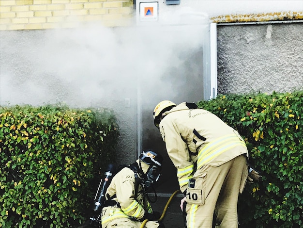 Photo firefighters wearing uniform while working by plants