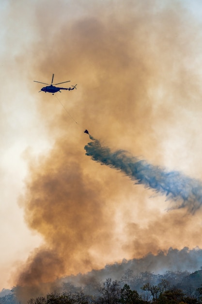 Пожарный вертолет слил воду во время лесного пожара