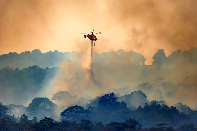 Firefithing helikopter te laten vallen van water op bosbrand