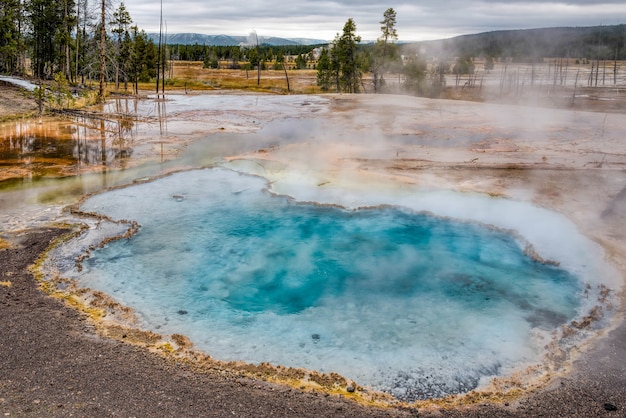 Foto primavera di firehole