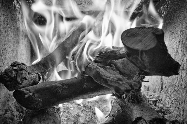 Photo firewood burning in a stove