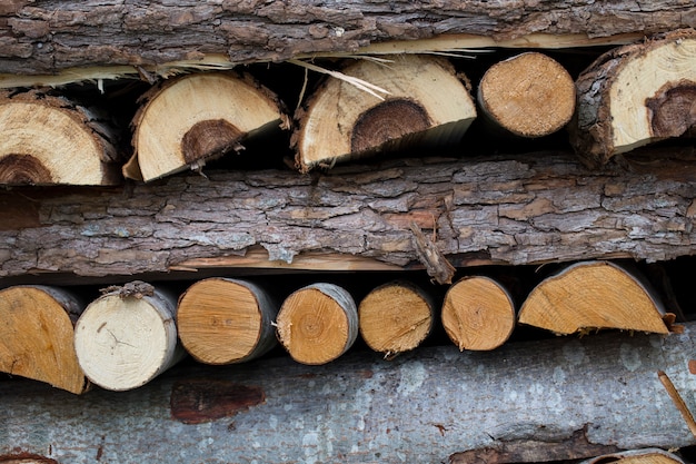 firewood is laid in different rows 