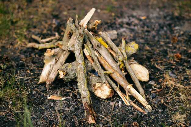 Photo firewood lying on ground for fire