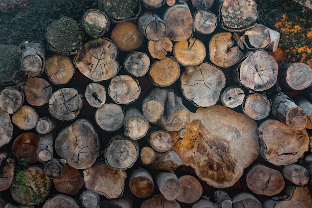 Firewood in a pile of log cabins in the chamber Against the backdrop of a wall and ivy