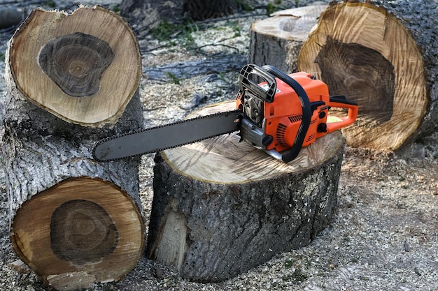 Firewood and red chainsaw