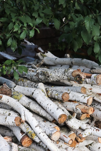 Firewood at the sawmill Birch forest The wood is stacked neatly