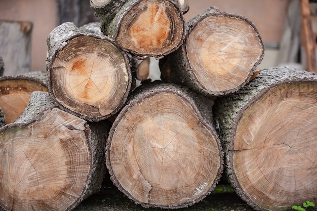 Аккуратно сложенные дрова для хранения и продажи