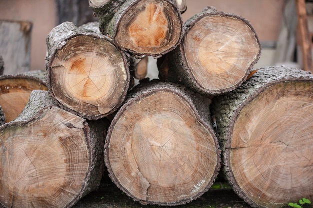 Firewood stacked neatly for storage and sale