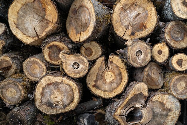 firewood stacked in a woodpile.