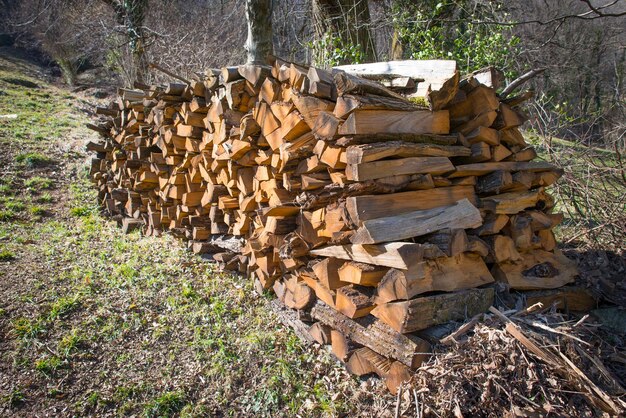 Firewood stacked