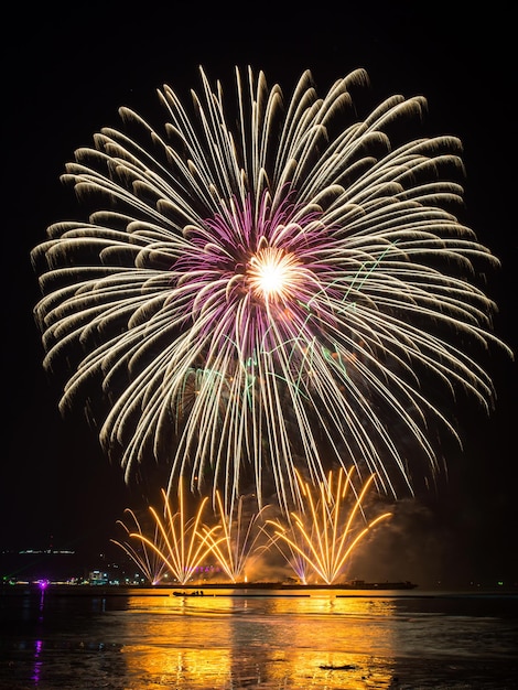 写真 夜の花火ショー