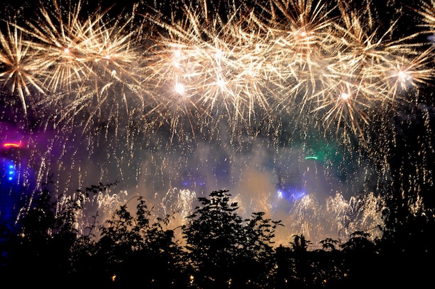 Photo firework display in landschaftspark at night