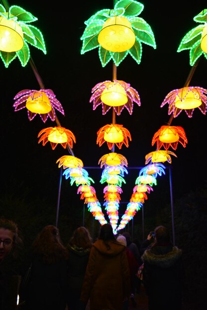 Firework display at night