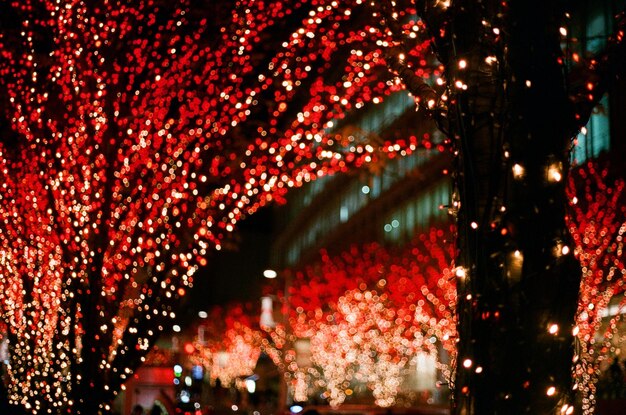 Firework display at night