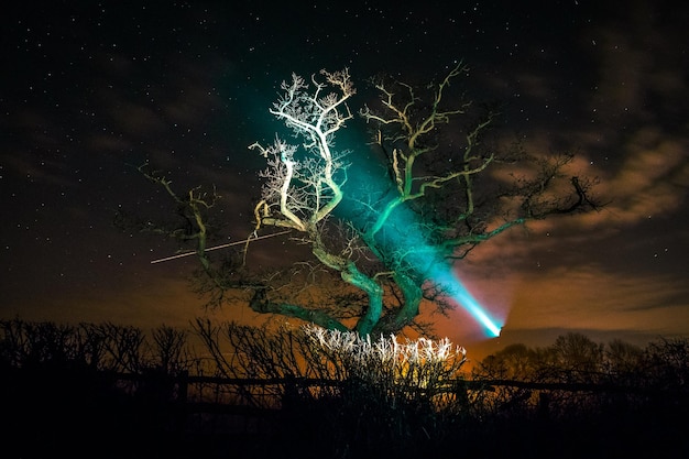 Photo firework display at night