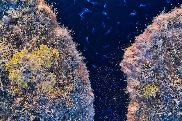 Foto spettacolo di fuochi d'artificio sul mare.