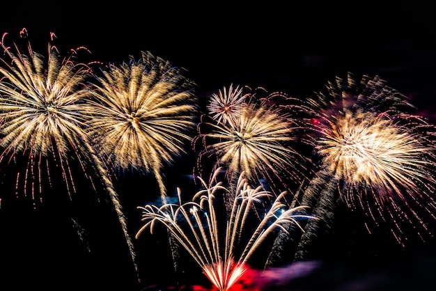 Firework on the sky background.