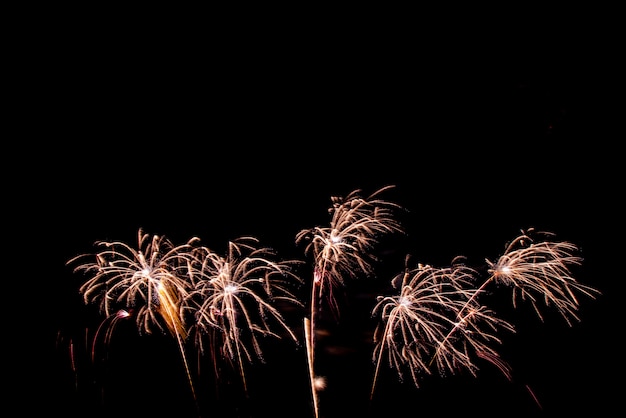 Photo firework on the sky for background.