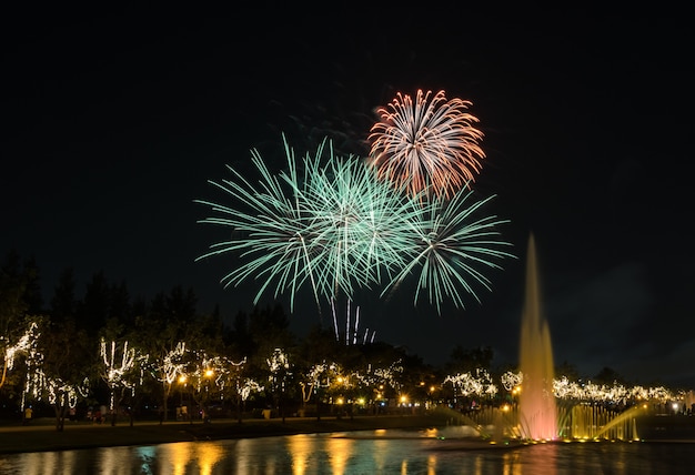 Fireworks in the city park