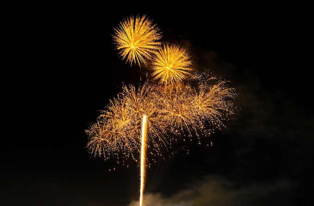 Fireworks in the Dark Sky Background