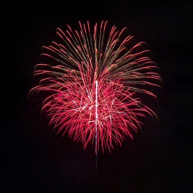 Photo fireworks in the dark sky