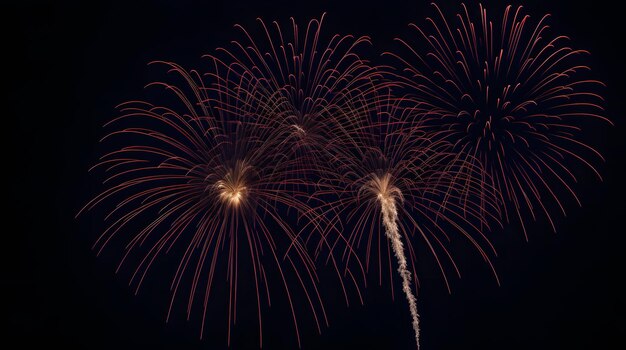 A fireworks display is lit up in the dark sky.