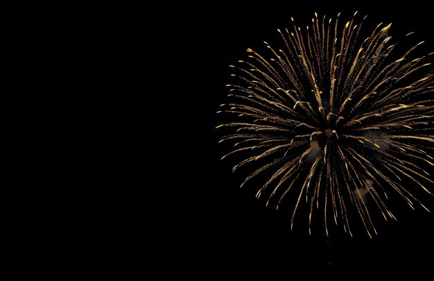 a fireworks display with a fireworks display in the background
