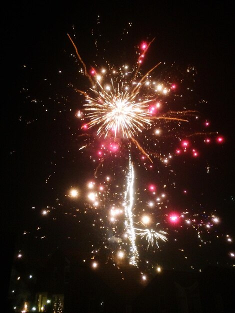 Fireworks exploding in night sky