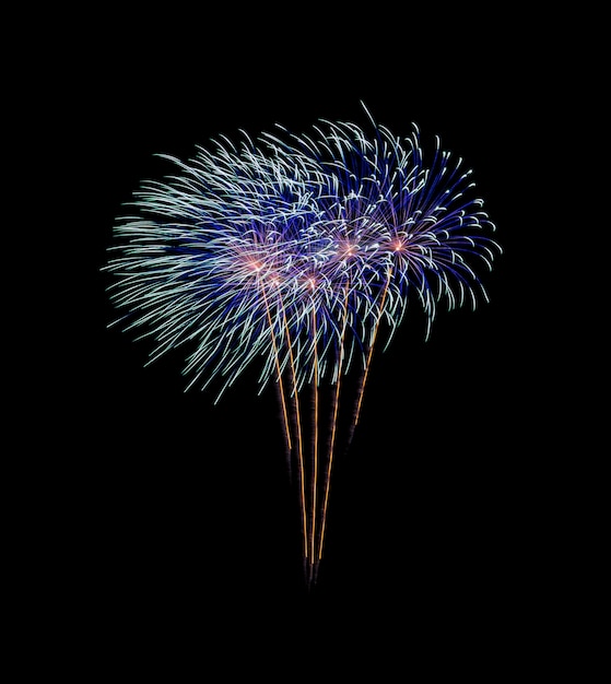 Fireworks explosion on night sky