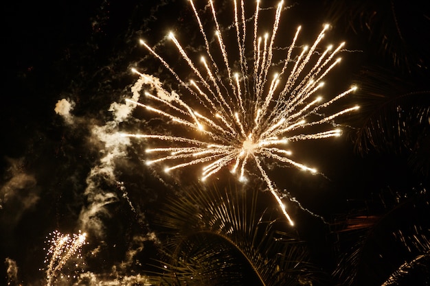 I fuochi d'artificio volano come le frecce nel cielo notturno