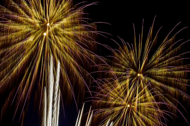 Fireworks light up the sky in a dazzling display