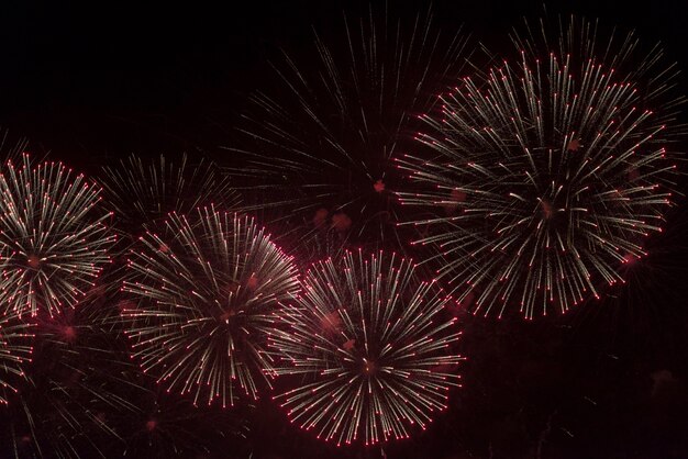 Photo fireworks in the night sky on a holiday