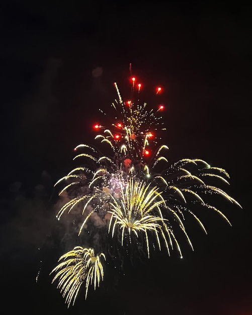 Fireworks in the night sky with a fireworks display