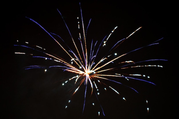 Fuochi d'artificio sul cielo notturno