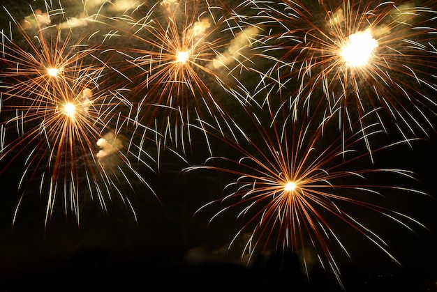 Fireworks, salute with the black sky background