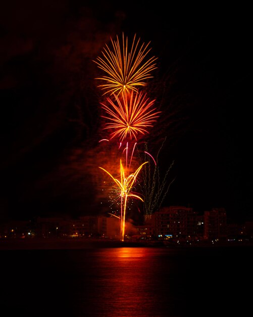 Photo fireworks in the shape of a palm tree in the evening in front of the sea