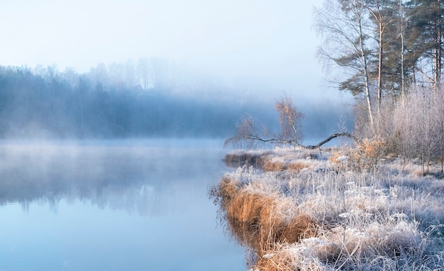 Primo gelo su un lago nebbioso della foresta con una bella betulla sulla riva, paesaggio autunnale in mattinata luminosa