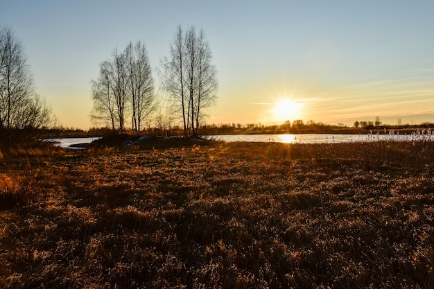 The first ice on the sun at sunset