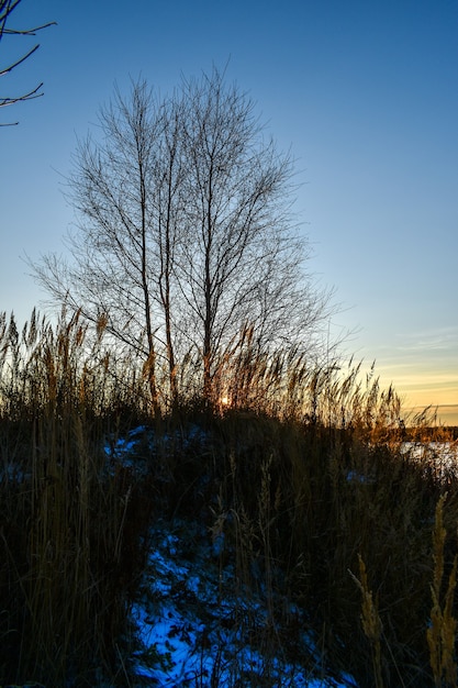 The first ice on the sun at sunset