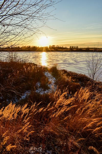 The first ice on the sun at sunset